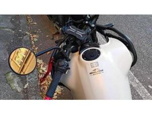 HIMALAYAN 450 (2024 - 26)