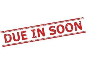 BENELLI LEONCINO 500 TRAIL EURO 4 500 CC