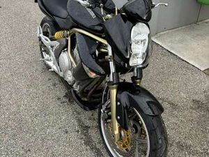 ER-6N *NEUES PICKERL BIS 2026*!!