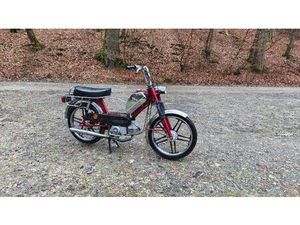 KREIDLER FLORY 2 GANG