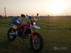 CABALLERO 500 KM ZERO