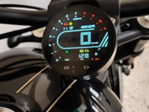 BENDA CHINCHILLA 500