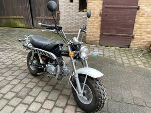 SKYTEAM T-REX 125 CCM A1 B196