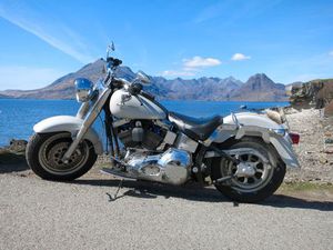 HARLEY-DAVIDSON FLSTFI SOFTAIL FAT BOY