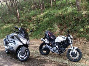 DUCATI MONSTER 696 BIANCO