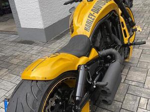 HARLEY DAVIDSON NIGHT ROD BAD BOY CUSTOMS