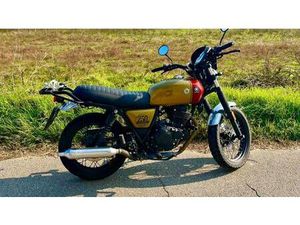 VENDO BRIXTON MOTORCYCLES CROMWELL 250 (2021 - 25) USATA A GROPELLO CAIROLI (CODICE 9878629) - MOTO.IT