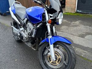 HONDA, HORNET CB919 (CC)