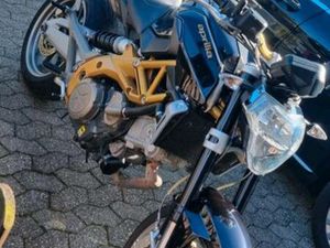 APRILIA SHIVER 750 MOTORRAD