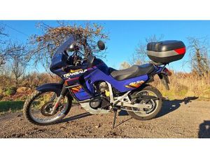 HONDA XL 600 V TRANSALP ROGOŹNIK