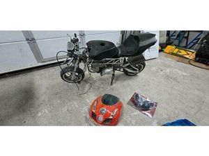 PITBIKE INSANITY 749 AN BASTLER