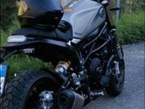 BENELLI LEONCINO 800 - 2025