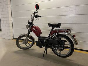 PONY GTX CANTON GLARIS -