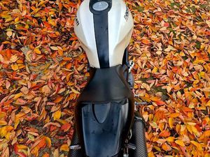 DUCATI MONSTER 696+ A2