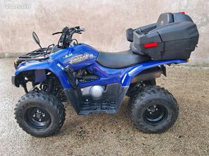 QUAD YAMAHA GRIZZLY 300