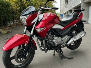 SUZUKI INAZUMA 250