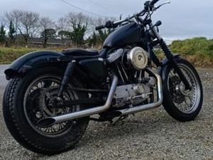 HARLEY 883 CUSTOM