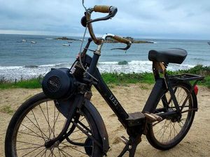 SOLEX 3800 AVEC CARTE GRISE