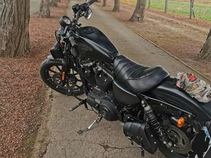 HARLEY SPORSTER IRON 883