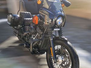 HARLEY DAVIDSON STREET BOB 114