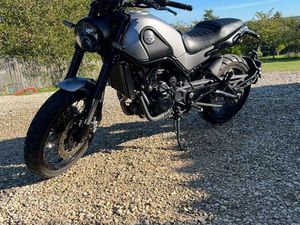 BENELLI LEONCINO TRAIL 500