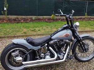 HARLEY DAVIDSON SOFTAIL