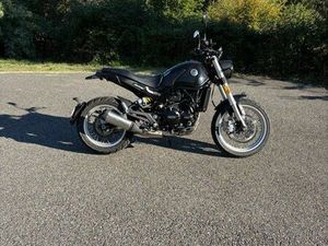 BENELLI LEONCINO 500 T 2024