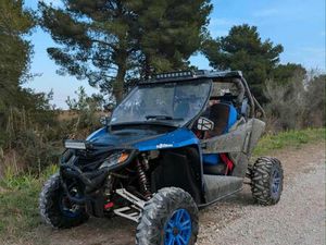 BUGGY WILDCAT 700 XT