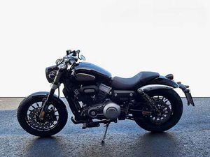 BENDA CHINCHILLA / V-STAR