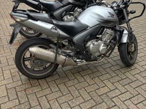 HONDA CBF 600 ABS TE KOOP!! GOEIE STAAT VAN DIENST — MOTOREN | HONDA — MARKTPLAATS