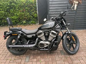 HARLEY DAVIDSON NIGHTSTER 975