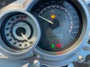 HARLEY DAVIDSON VROD MUSCLE 1250