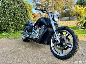 HARLEY 1250 VROD MUSCLE