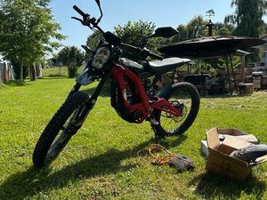 SURRON LIGHT BEE 2019