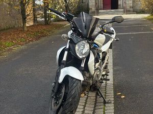 MOTO SUZUKI SFV GLADIUS A2