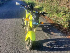 HONDA, MSX, 2017, 125 (CC)