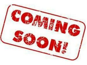 VENDO MOTO GUZZI NORGE 1200 (2006 - 10) USATA A RAVENNA (CODICE 9878989) - MOTO.IT