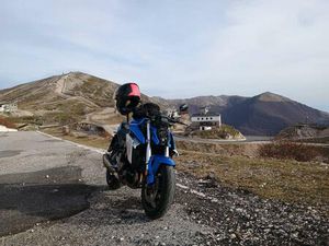 VENDO SUZUKI GSX-S950 (2021 - 23) USATA A VELLETRI (CODICE 9879424) - MOTO.IT