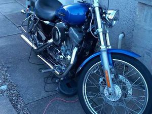 HARLEY-DAVIDSON, SPORTSTER CUSTOM, 2008, 883 (CC)