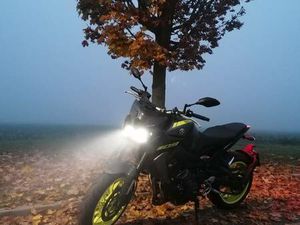 YAMAHA MT-09 ABS