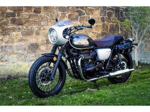 KAWASAKI W800 – EZ 11/2018 – NUR 1.600 KM – NEUWERTIG