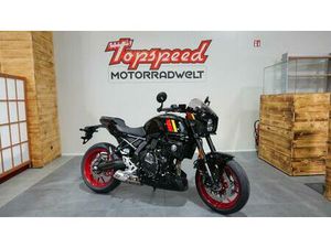 SUZUKI GSX-8 TT - JETZT VORBESTELLEN