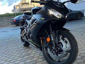 TRIUMPH DAYTONA