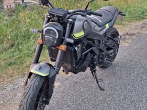 BENELLI LEONCINO 250