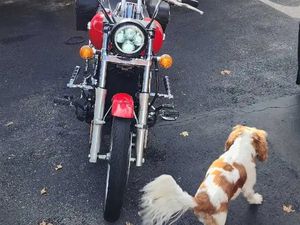 KAWASAKI VULCAIN 900 2008 TRÈS BELLE MOTO