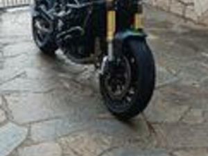 BENELLI LEONCINO 800