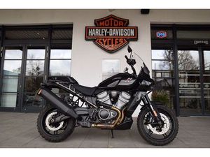 HARLEY-DAVIDSON RA1250 PAN AMERICA