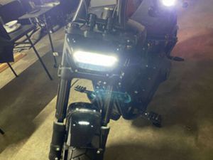 2019 SOFTAIL® FAT BOB® 114