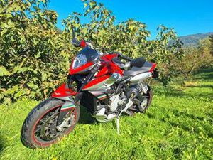 MV AGUSTA RIVALE 800 - 2014