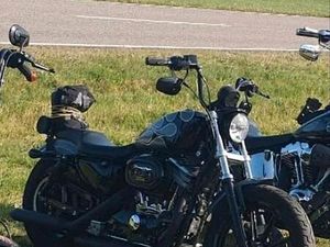 HARLEY-DAVIDSON SPORTSTER 883 HUGGER